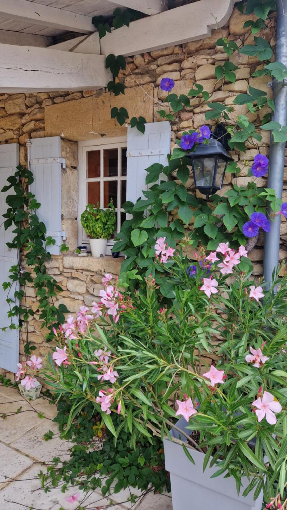 Le Clos-Lascazes Maison D'Hotes Le Buisson-de-Cadouin Exterior photo